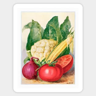 Vegetable watercolor illustration (1915) Sticker